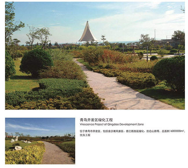 青岛开发区绿化工程.jpg
